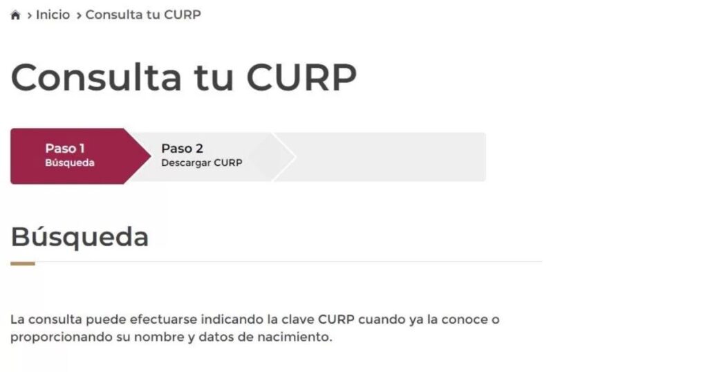 curp gratis